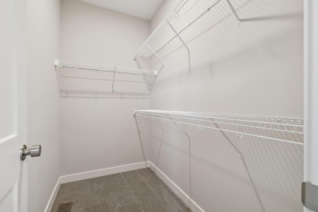 walk in closet featuring carpet