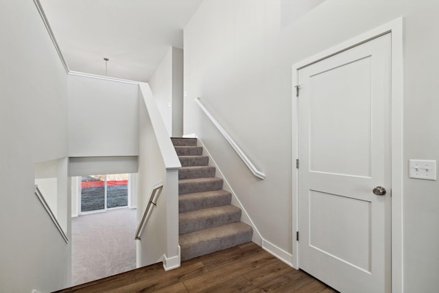 staircase with hardwood / wood-style flooring