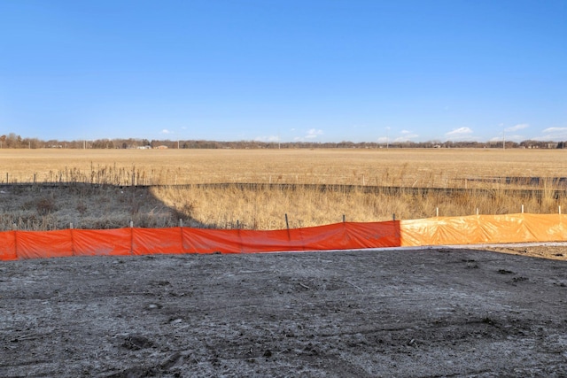 view of yard with a rural view