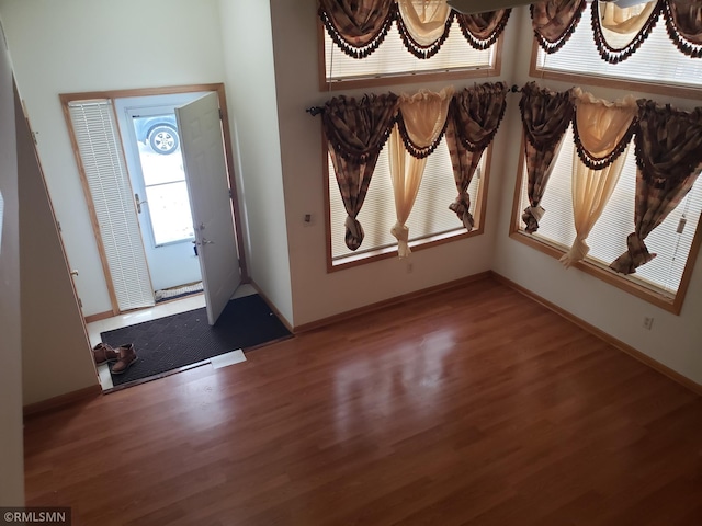 foyer with wood-type flooring