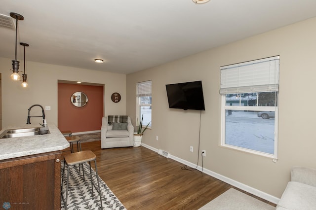 living room featuring dark hardwood / wood-style floors and sink