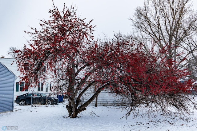 view of yard covered in snow