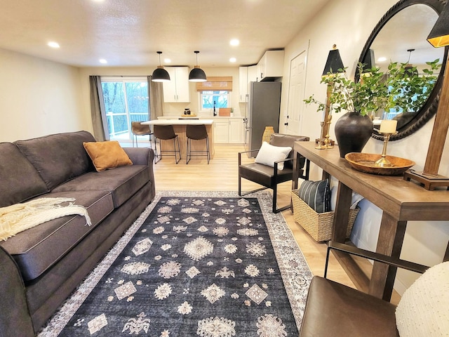 living room featuring light hardwood / wood-style floors