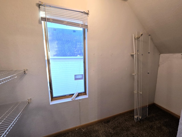 interior space with carpet and lofted ceiling