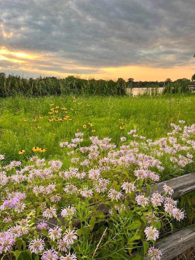 view of nature at dusk