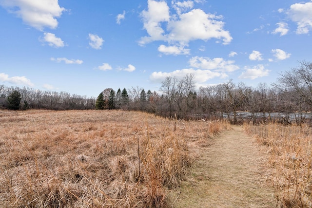 view of landscape with a rural view