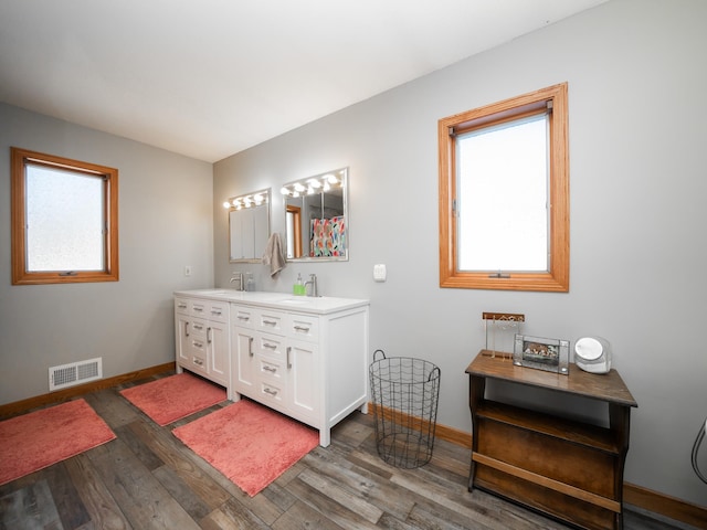 bathroom with hardwood / wood-style floors and vanity