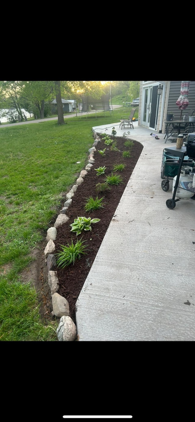 view of yard featuring a patio area