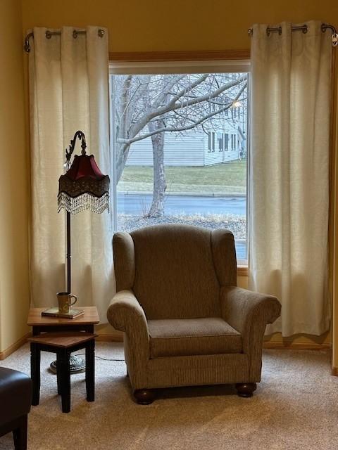 sitting room with carpet flooring