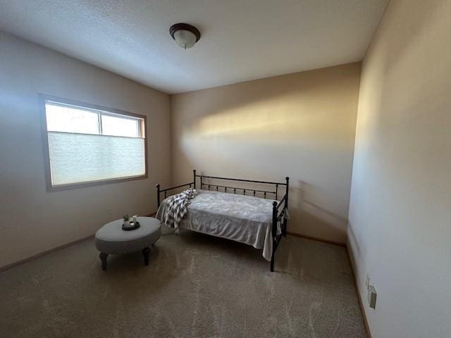 bedroom featuring carpet