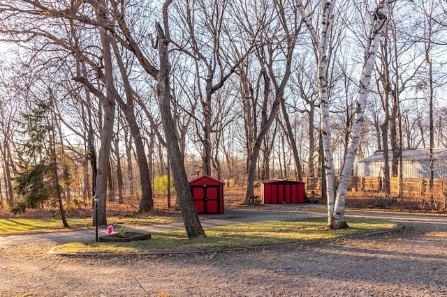 view of yard with a shed