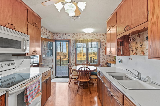 kitchen featuring a textured ceiling, white appliances, ceiling fan, sink, and light hardwood / wood-style flooring