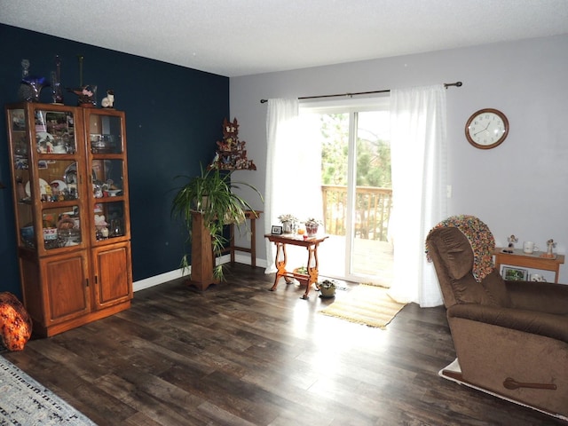 living area with dark hardwood / wood-style floors