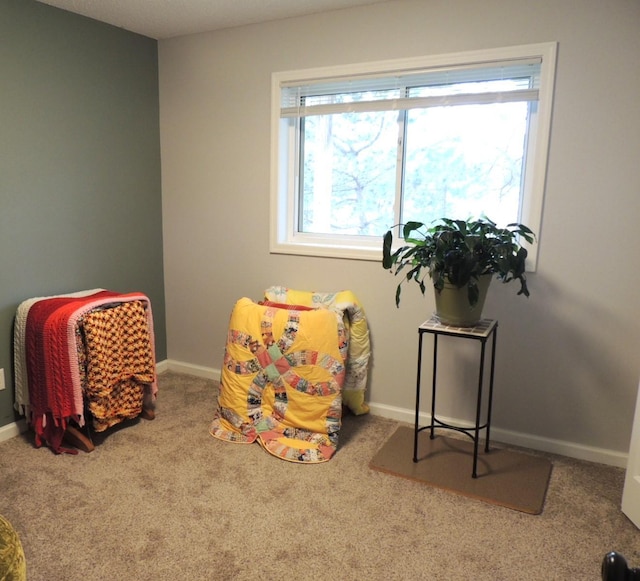 playroom with carpet floors and baseboards