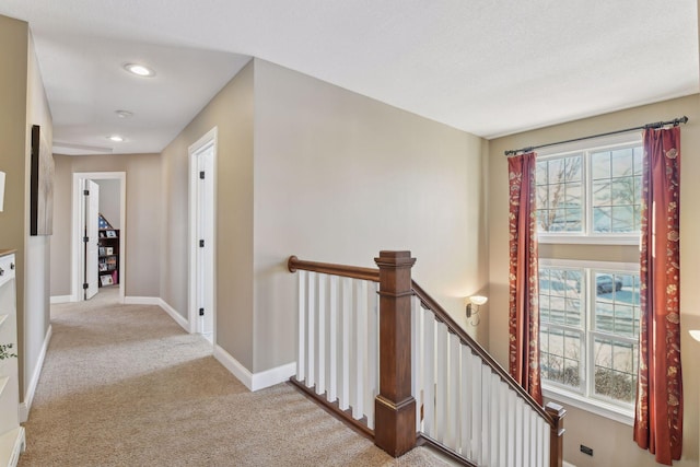 hall featuring light carpet and a wealth of natural light