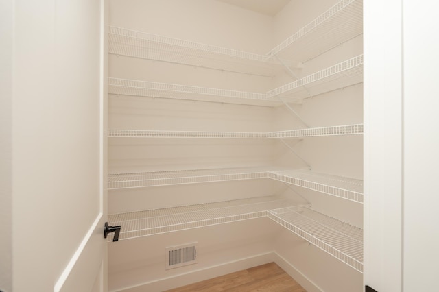 25341 Delmar Ave, New Prague, MN 56071 - view of pantry