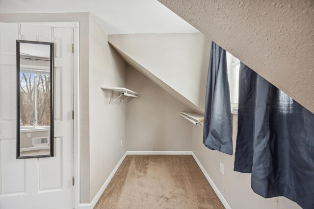 spacious closet with carpet flooring