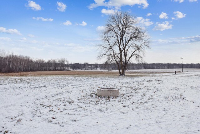 view of yard covered in snow