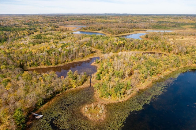 TractC Brietbach Road, Park Rapids MN, 56470 land for sale