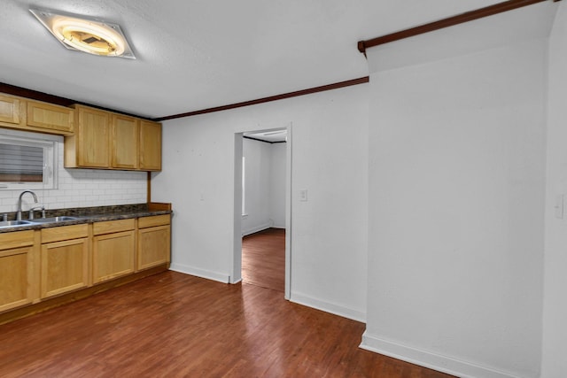 kitchen featuring backsplash, crown molding, dark wood-type flooring, and sink