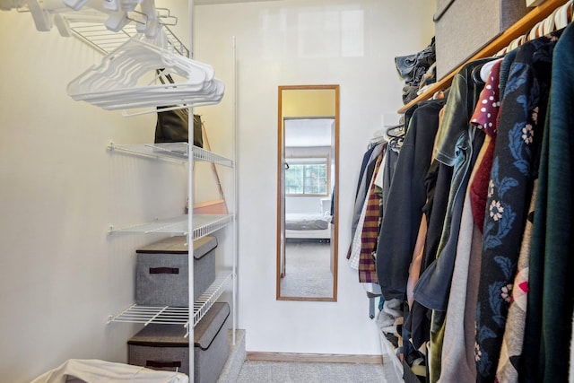 spacious closet featuring carpet flooring