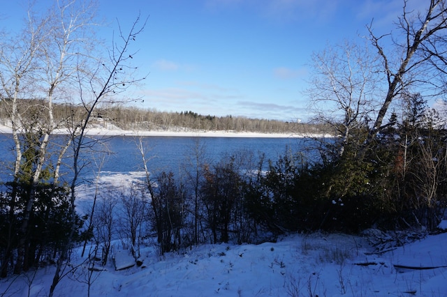 property view of water