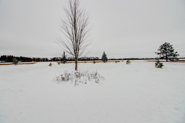 view of snowy yard