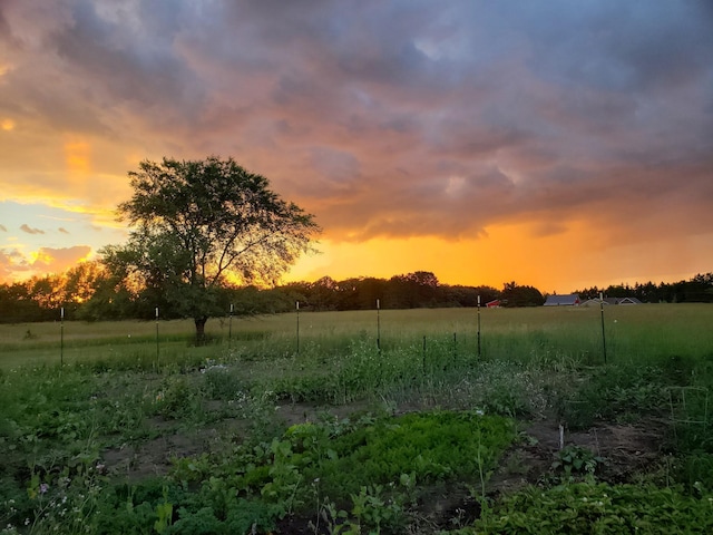 15331 129th Ave, Wadena, MN 56482 - view of landscape with a rural view