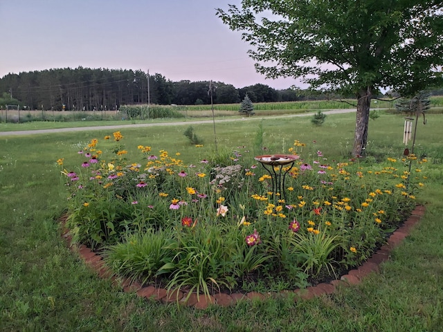 15331 129th Ave, Wadena, MN 56482 - yard at dusk with a view of rural / pastoral area and a lawn