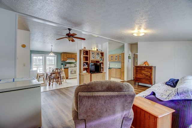 15331 129th Ave, Wadena, MN 56482 - living area with a textured ceiling, light wood-style floors, ceiling fan, and lofted ceiling