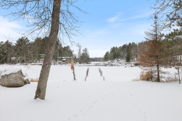 view of snowy yard