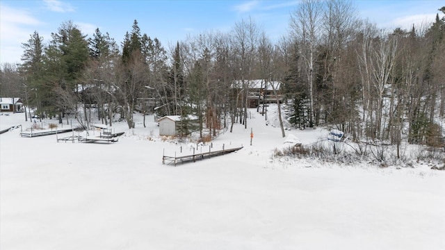 view of snowy yard