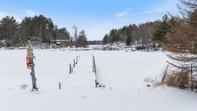 view of yard layered in snow