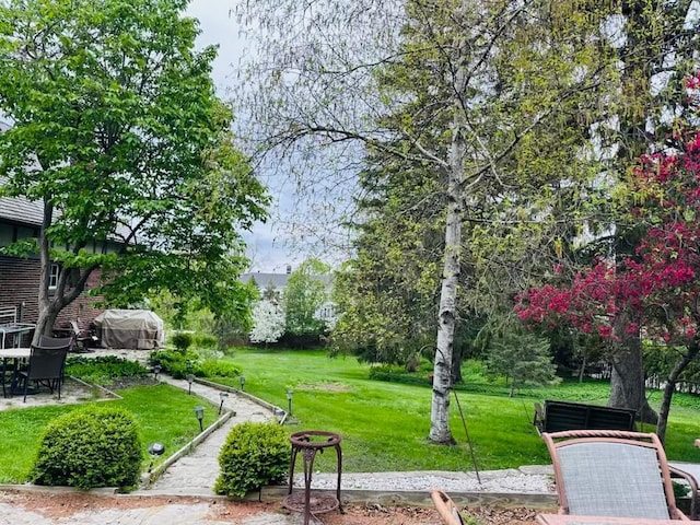 view of community with a patio and a yard