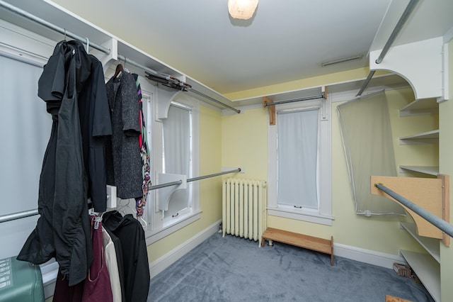 walk in closet featuring carpet flooring, radiator, and visible vents