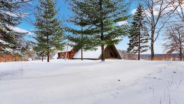 view of snowy yard