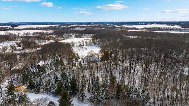 view of snowy aerial view