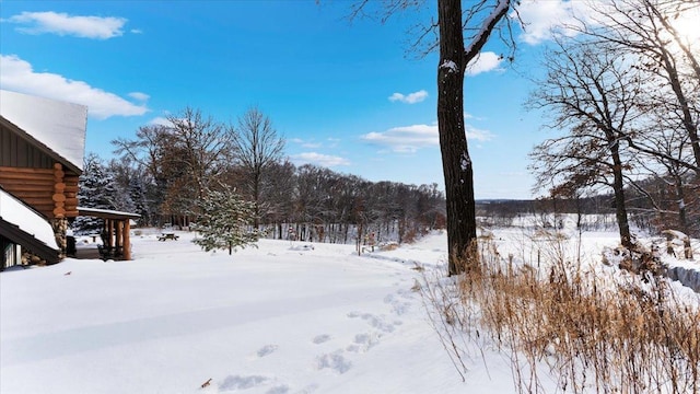 view of snowy yard