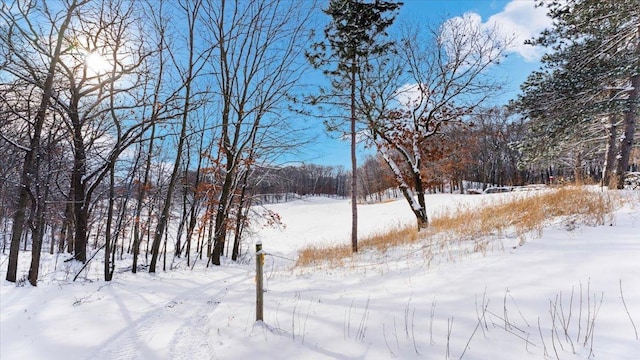 view of yard covered in snow