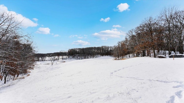 view of snowy yard