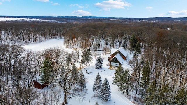 view of snowy aerial view