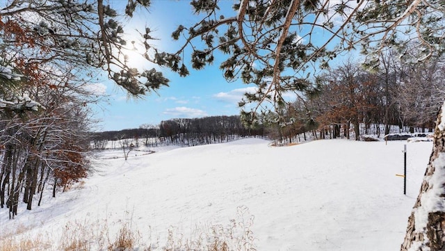 view of snowy yard