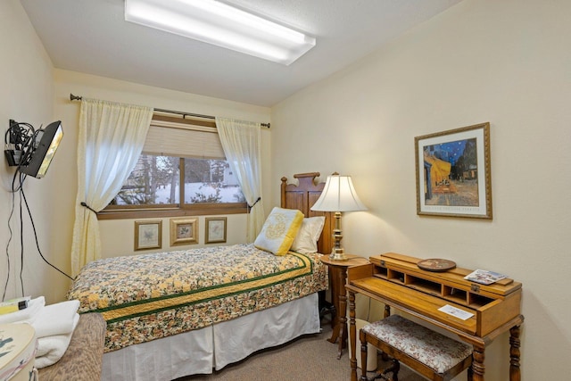 bedroom with carpet flooring