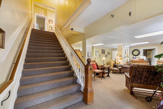 stairs with carpet floors