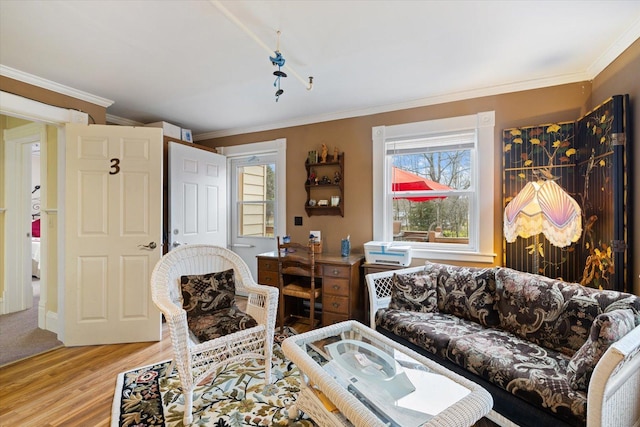 living room with light hardwood / wood-style flooring and ornamental molding