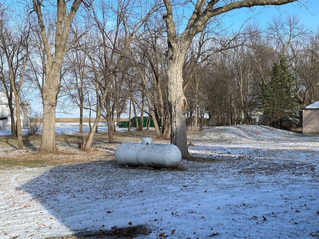 view of yard covered in snow