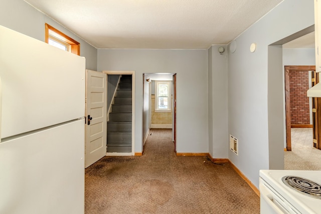 interior space with light colored carpet and a healthy amount of sunlight