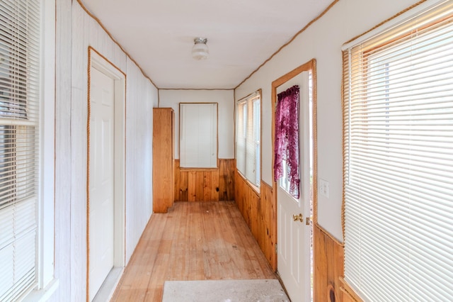 hall with wooden walls and light hardwood / wood-style flooring