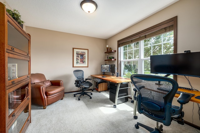 office area with light carpet