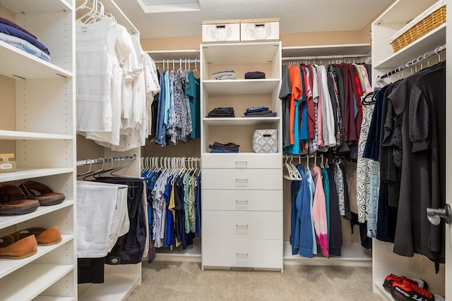 spacious closet with light carpet